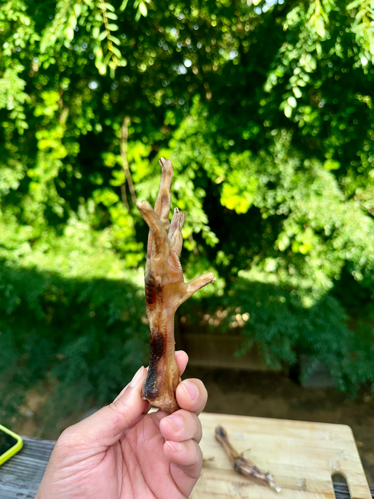 Chicken Feet (dehydrated 5-pack)