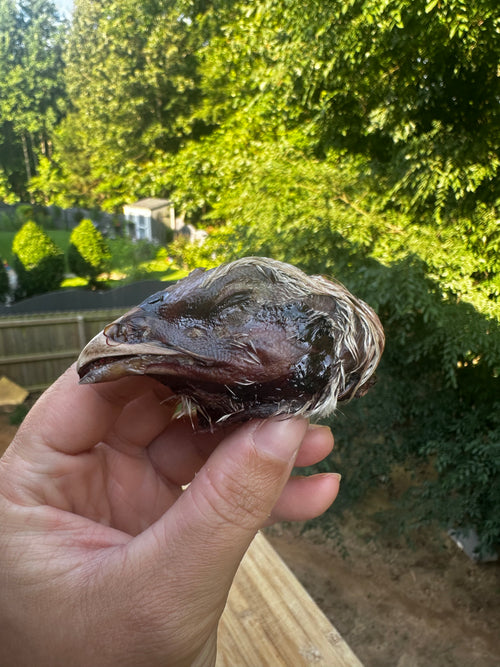Chicken Head (Dehydrated) 2-pack