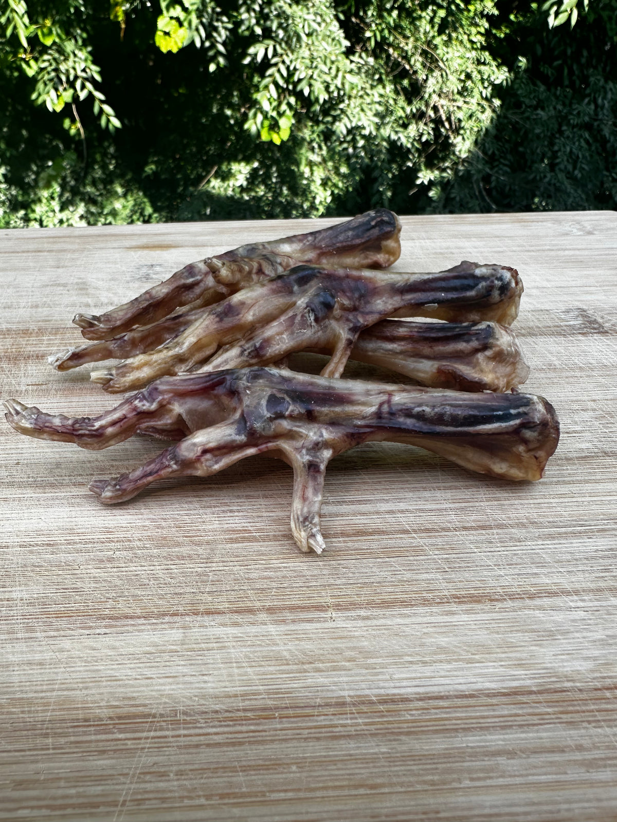 Chicken Feet (dehydrated 5-pack)