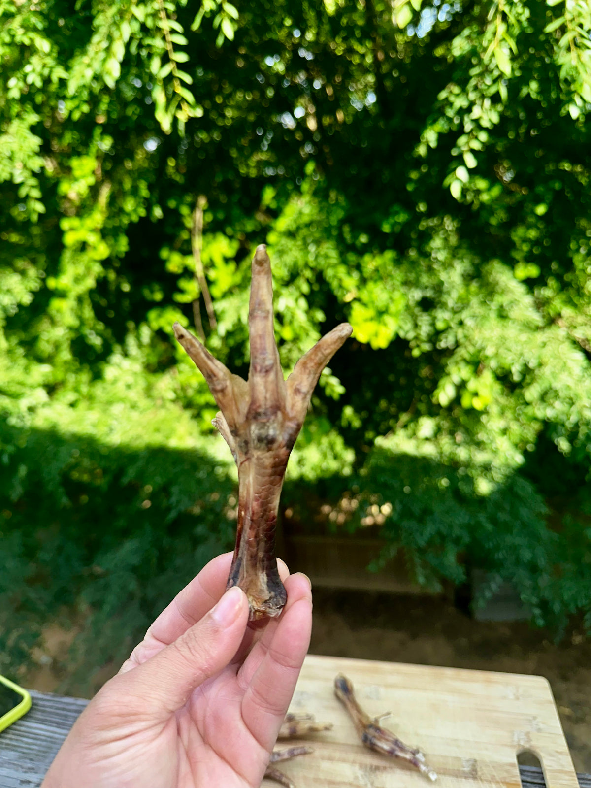 Chicken Feet (Dehydrated Dog Chews)