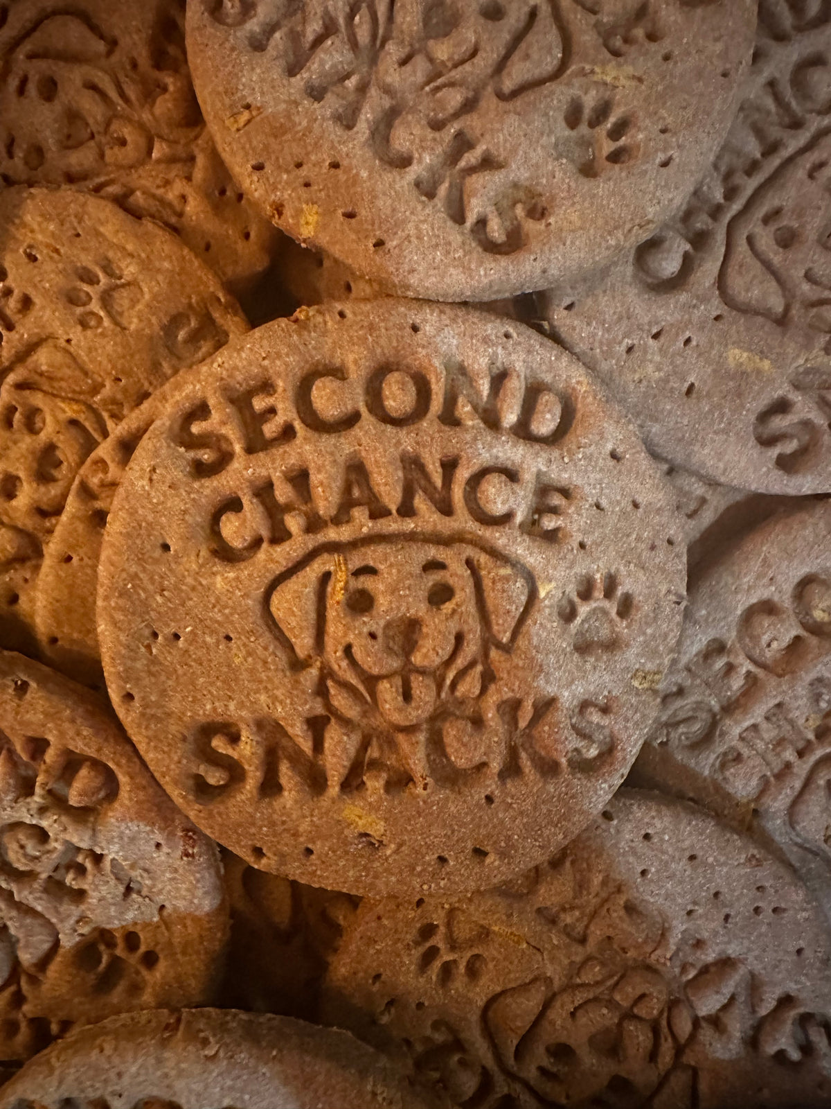 Big Bark Biscuits